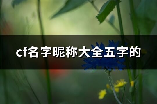 cf名字昵称大全五字的(共543个)