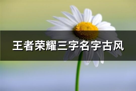 王者荣耀三字名字古风(优选454个) 王者荣耀三字名字古风(优选454个)