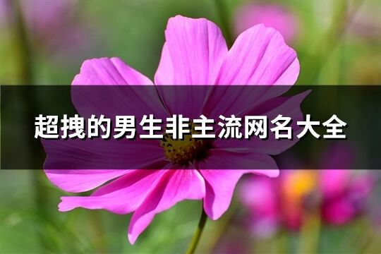 超拽的男生非主流网名大全(共299个)