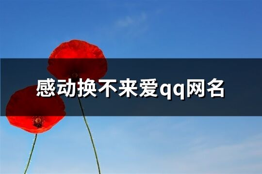 感动换不来爱qq网名(优选76个)