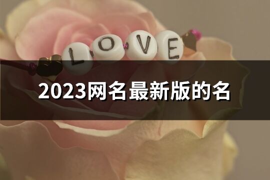 2023网名最新版的名(共1090个)