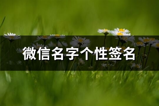 微信名字个性签名(优选100个)