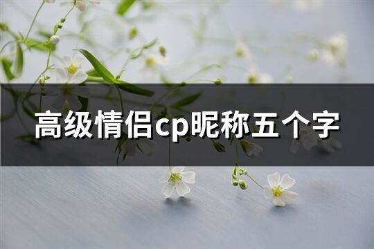 高级情侣cp昵称五个字(优选561个)