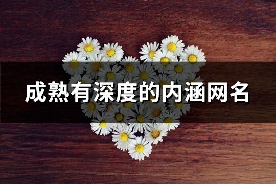 成熟有深度的内涵网名(精选263个)