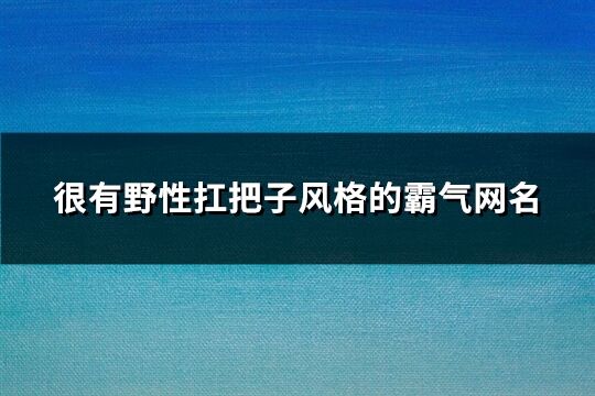 很有野性扛把子风格的霸气网名(优选294个)