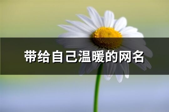 带给自己温暖的网名(共642个)