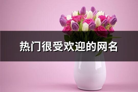 热门很受欢迎的网名(优选613个)