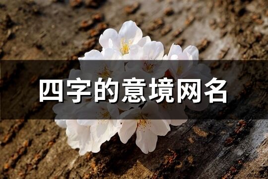 四字的意境网名(优选538个)