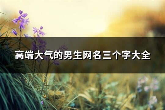 高端大气的男生网名三个字大全(337个)