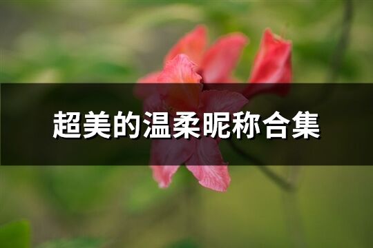 超美的温柔昵称合集(精选575个)