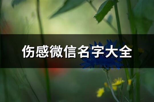 伤感微信名字大全(精选682个)