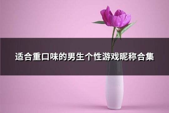 适合重口味的男生个性游戏昵称合集(优选200个)