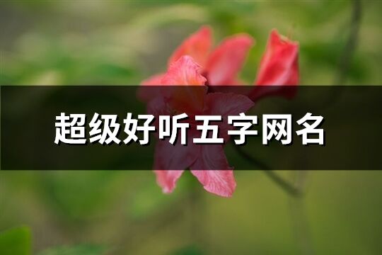 超级好听五字网名(精选991个)