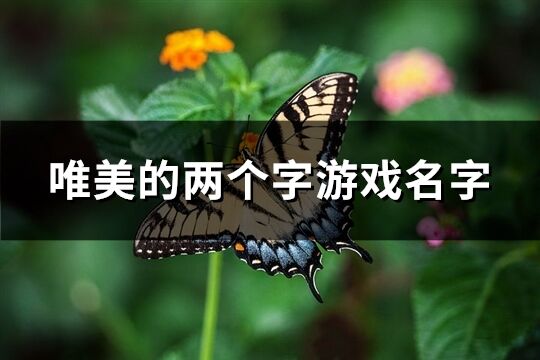 唯美的两个字游戏名字(优选562个)