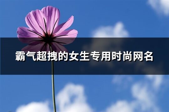 霸气超拽的女生专用时尚网名(优选575个) 霸气超拽的女生专用时尚网名(优选575个)