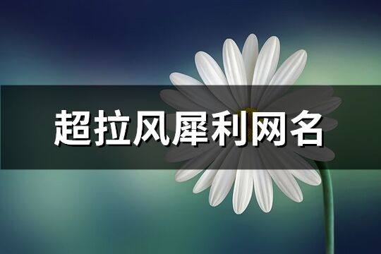 超拉风犀利网名(216个)