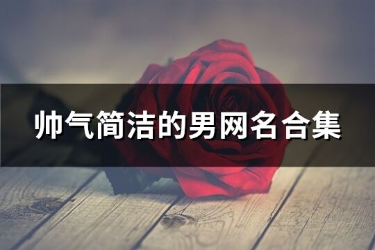帅气简洁的男网名合集(优选564个)