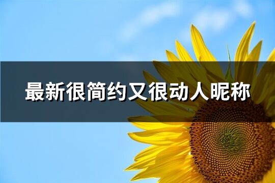 最新很简约又很动人昵称(737个)