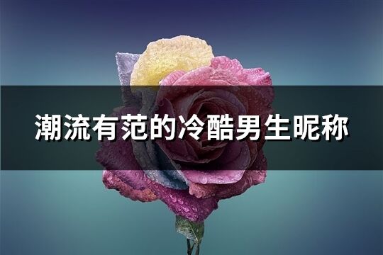 潮流有范的冷酷男生昵称(393个)