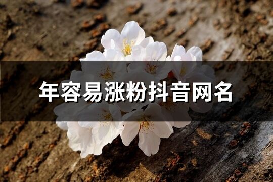 年容易涨粉抖音网名(优选933个)