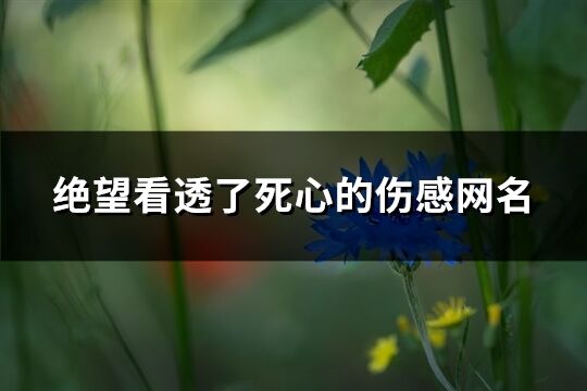 绝望看透了死心的伤感网名(优选376个) 绝望看透了死心的伤感网名(优选376个)