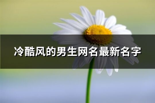 冷酷风的男生网名最新名字(精选898个)