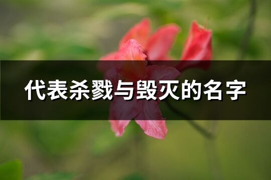 代表杀戮与毁灭的名字(优选68个)