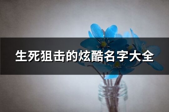 生死狙击的炫酷名字大全(共97个)