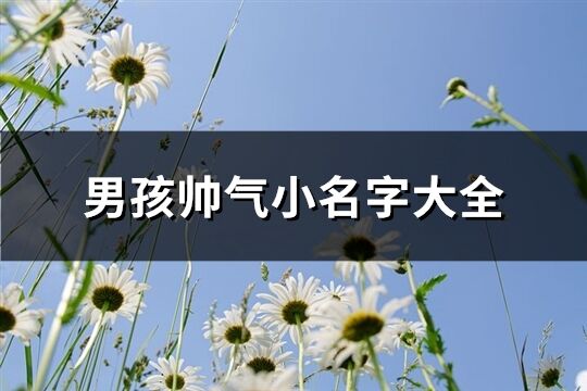 男孩帅气小名字大全(共252个)