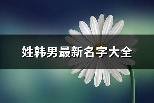 姓韩男最新名字大全