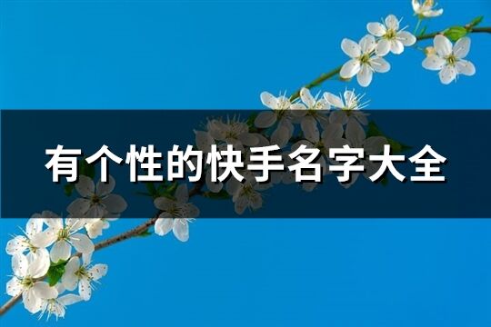 有个性的快手名字大全(共273个)