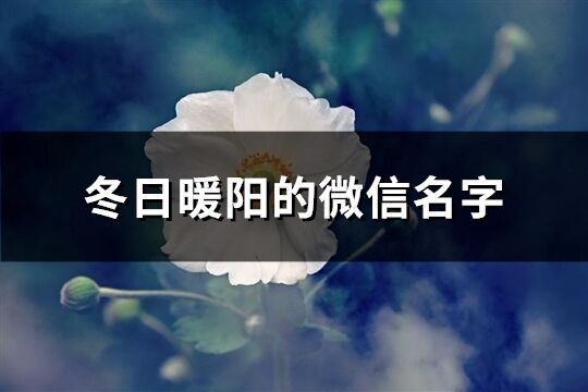 冬日暖阳的微信名字(61个)