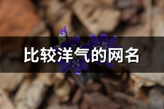 比较洋气的网名(共413个)