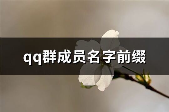qq群成员名字前缀(优选76个)