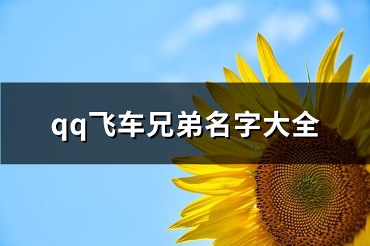 qq飞车兄弟名字大全(共76个)