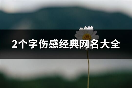 2个字伤感经典网名大全(共91个)