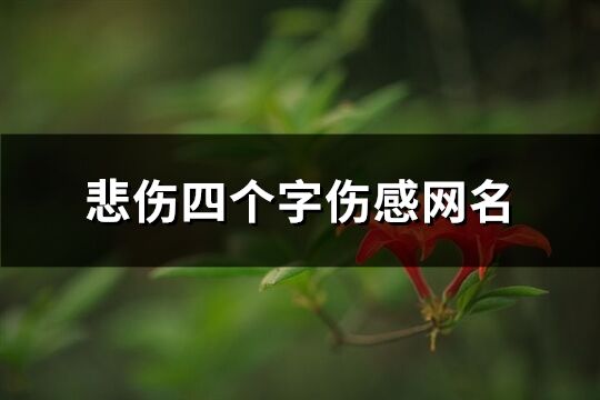 悲伤四个字伤感网名(共1888个)