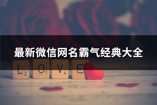 最新微信网名霸气经典大全(精选471个)