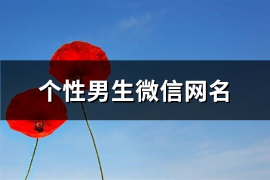 个性男生微信网名(精选838个)