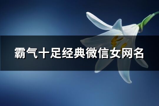 霸气十足经典微信女网名(391个)