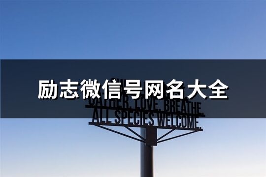 励志微信号网名大全(315个)