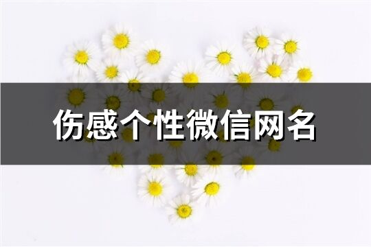 伤感个性微信网名(精选149个)