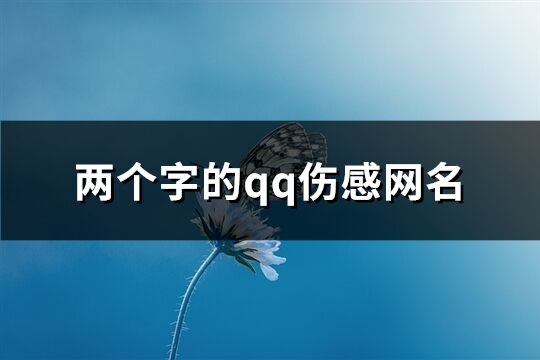 两个字的qq伤感网名(505个)