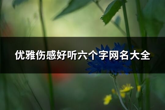 优雅伤感好听六个字网名大全(633个)