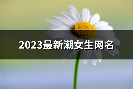 2023最新潮女生网名(精选41个)