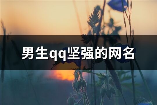 男生qq坚强的网名(392个)