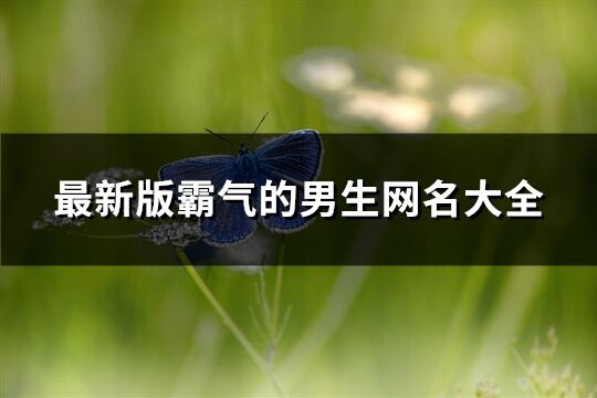 最新版霸气的男生网名大全(1154个) 最新版霸气的男生网名大全(1154个)