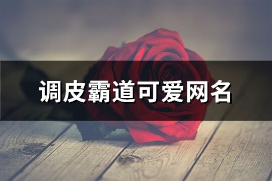 调皮霸道可爱网名(精选325个)