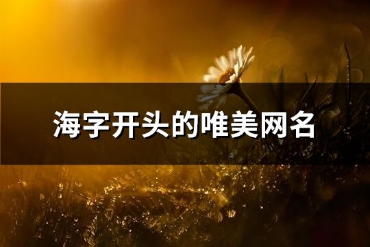 海字开头的唯美网名(共142个)