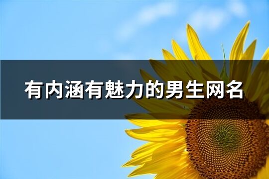 有内涵有魅力的男生网名(精选510个)